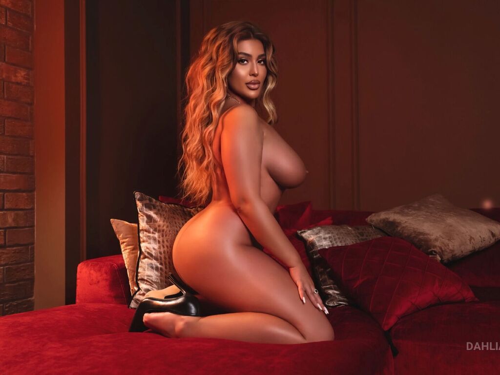 DahliaRains Live Stream